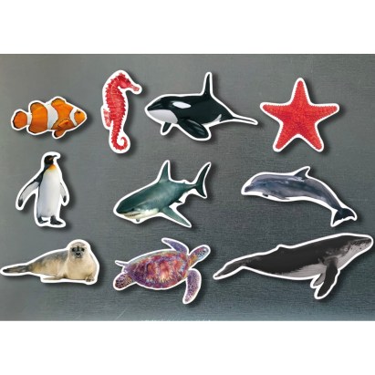 Nowordbooks - Tengeri állatok mágnesek